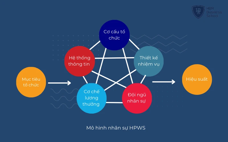 6 MÔ HÌNH & 6 BƯỚC XÂY DỰNG CHIẾN LƯỢC NHÂN SỰ NÊN HỌC HỎI