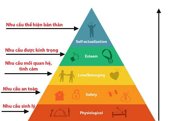 5 MÔ HÌNH QUẢN TRỊ NHÂN SỰ HIỆU QUẢ NHẤT HIỆN NAY