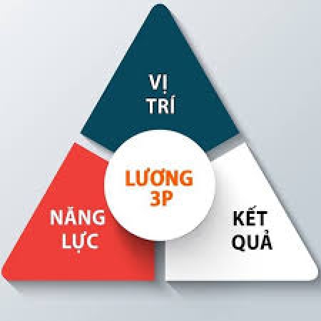 Cơ bản về mô hình lương 3P