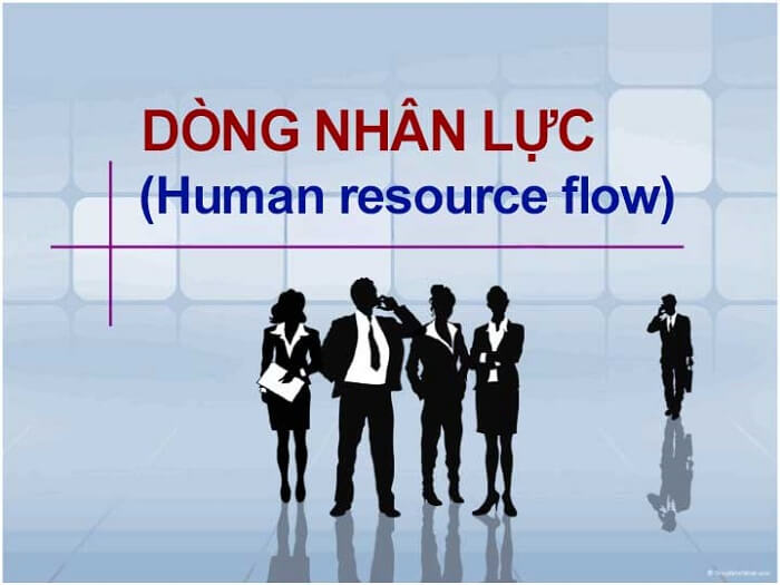 DÒNG NHÂN LỰC (HUMAN RESOURCE FLOW)