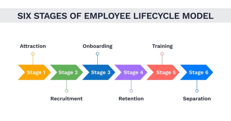 VÒNG ĐỜI NHÂN VIÊN ( EMPLOYFE LÌE CYCLE )