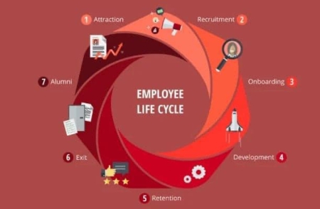 Employee Life Cycle (Vòng đời nhân viên) là gì