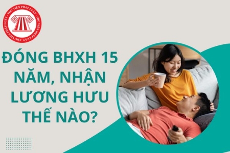 QUY ĐỊNH ĐÓNG 𝐁𝐇𝐗𝐇 Đ𝐔̉ 𝟏𝟓 𝐍𝐀̆𝐌 Đ𝐔̛𝐎̛̣𝐂 𝐍𝐇𝐀̣̂𝐍 𝐋𝐔̛𝐎̛𝐍𝐆 𝐇𝐔̛𝐔 𝐀́𝐏 𝐃𝐔̣𝐍𝐆 𝐊𝐇𝐈 𝐍𝐀̀𝐎 𝐕𝐀̀ 𝐌𝐔̛́𝐂 𝐇𝐔̛𝐎̛̉𝐍𝐆 𝐇𝐀̀𝐍𝐆 𝐓𝐇𝐀́𝐍𝐆 𝐋𝐀̀ 𝐁𝐀𝐎 𝐍𝐇𝐈𝐄̂𝐔?