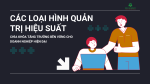 CÁC LOẠI HÌNH QUẢN TRỊ HIỆU SUẤT: CHÌA KHÓA TĂNG TRƯỞNG BỀN VỮNG CHO DOANH NGHIỆP HIỆN ĐẠI