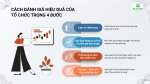 CÁCH ĐÁNH GIÁ HIỆU QUẢ CỦA TỔ CHỨC TRONG 4 BƯỚC