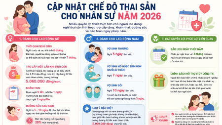 CẬP NHẬT CHẾ ĐỘ THAI SẢN NĂM 2026: TOÀN BỘ QUYỀN LỢI MỚI NHẤT DÀNH CHO NGƯỜI LAO ĐỘNG