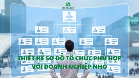 HƯỚNG DẪN CÁCH THIẾT KẾ SƠ ĐỒ TỔ CHỨC PHÙ HỢP VỚI DOANH NGHIỆP NHỎ